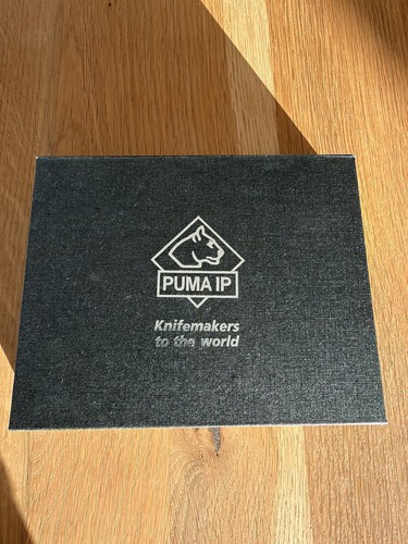 Puma wild boar frischling - puma,