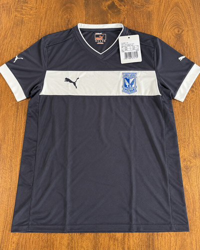 Lech poznan posen 2012 - lech, puma